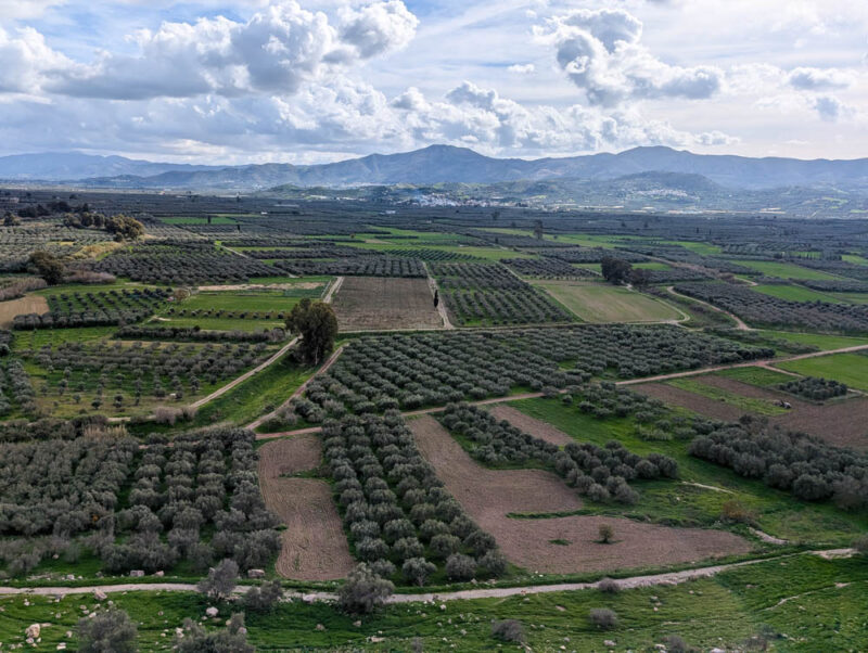 PXL_20251230_101816328.jpg PXL_20251230_101816328.jpg