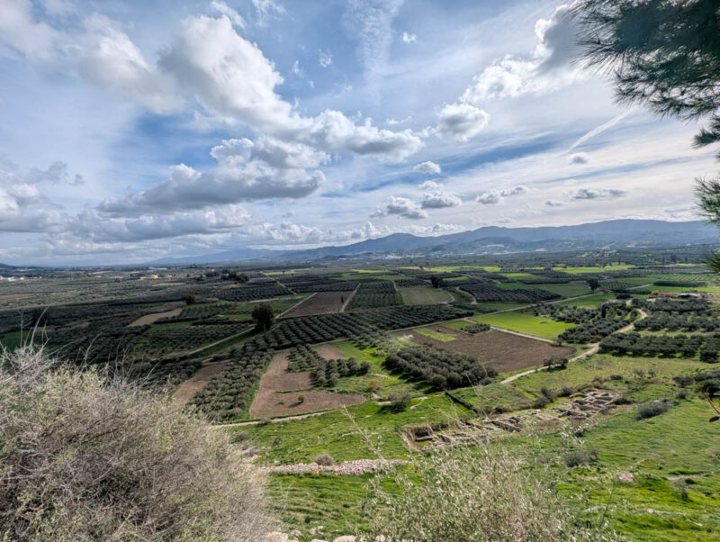 PXL_20251230_102635238.jpg PXL_20251230_102635238.jpg