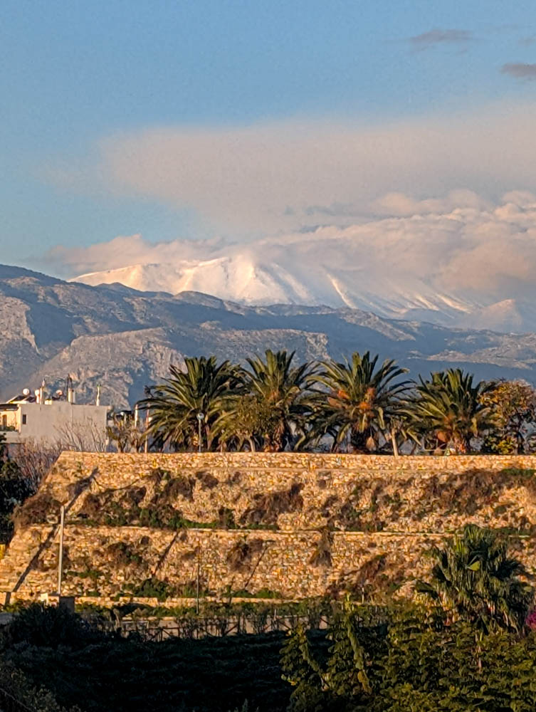 PXL_20251231_060245872.jpg PXL_20251231_060245872.jpg