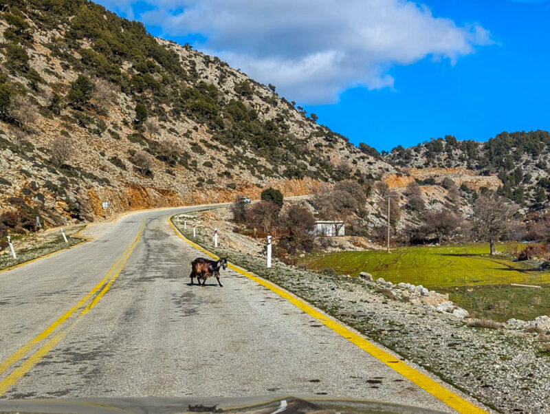 PXL_20260102_115850576.MP.jpg PXL_20260102_115850576.MP.jpg