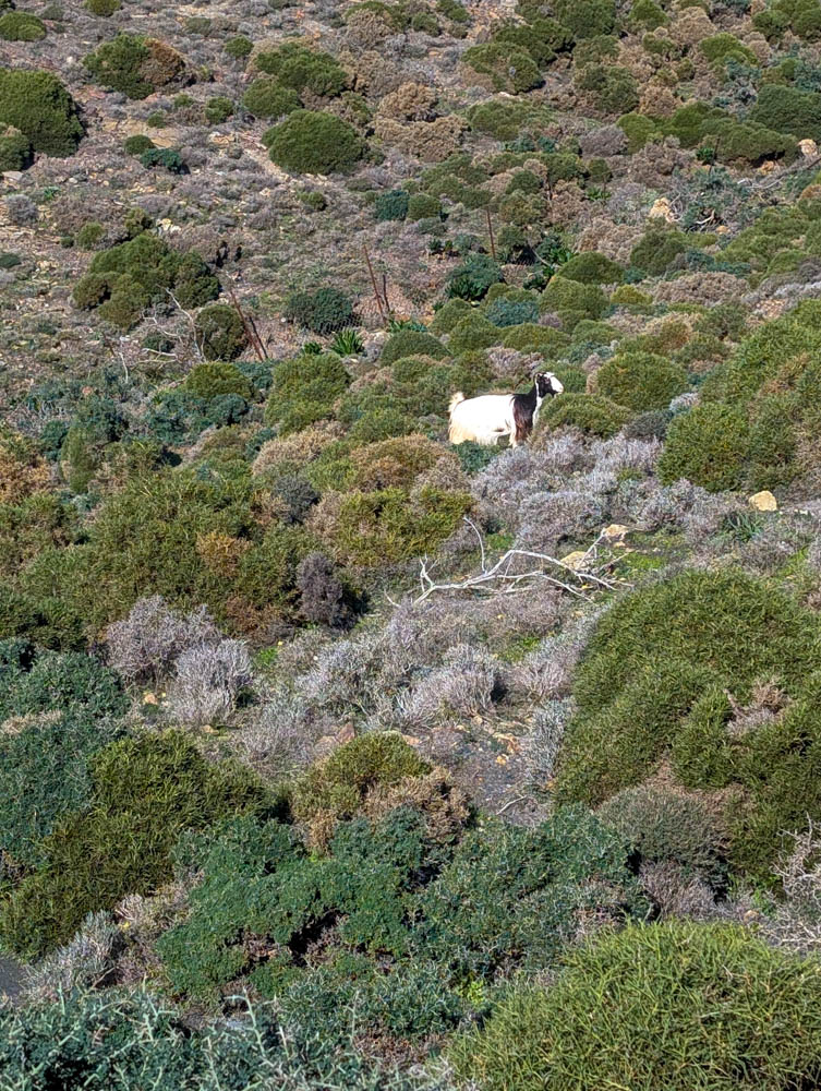 PXL_20260103_104347376.jpg PXL_20260103_104347376.jpg