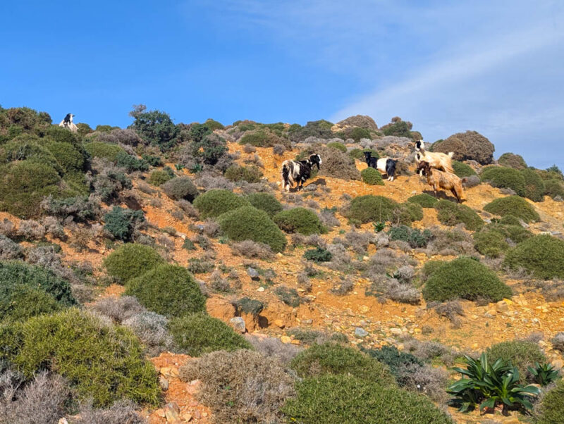 PXL_20260103_110622883.jpg PXL_20260103_110622883.jpg