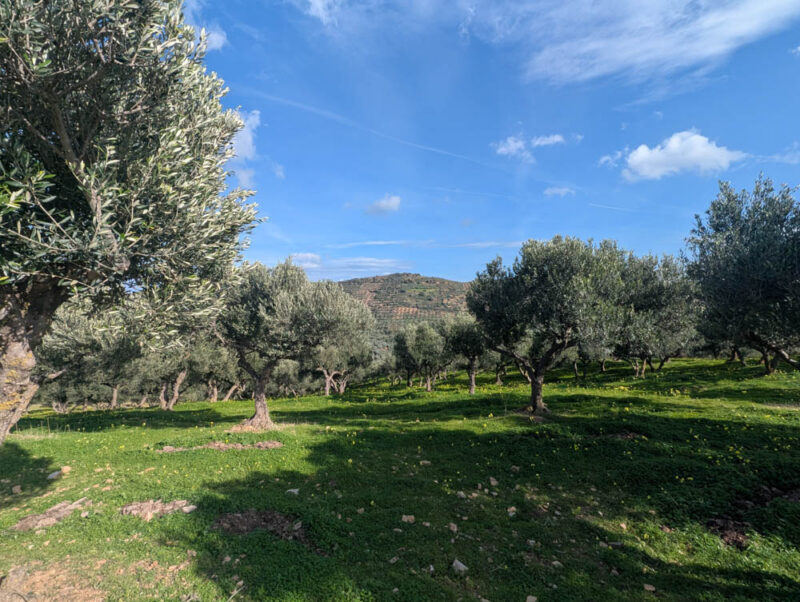 PXL_20260103_112420762.jpg PXL_20260103_112420762.jpg